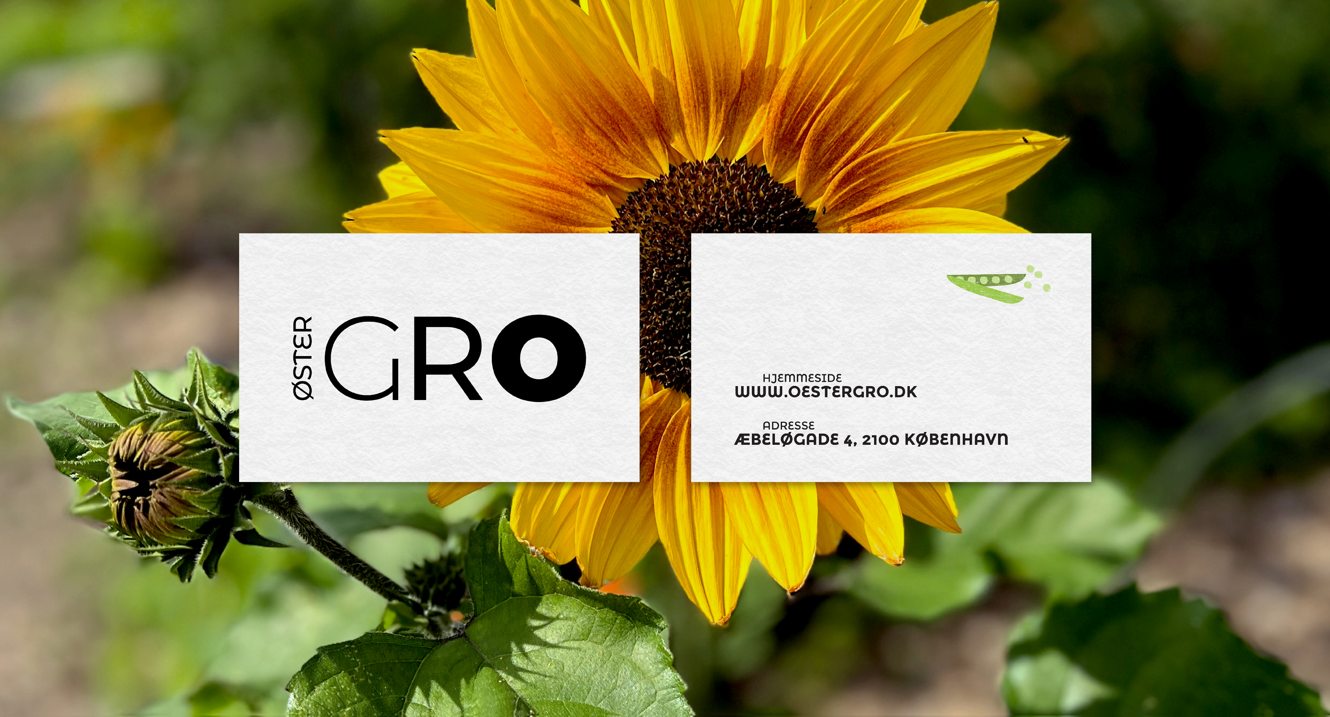 ØsterGRO